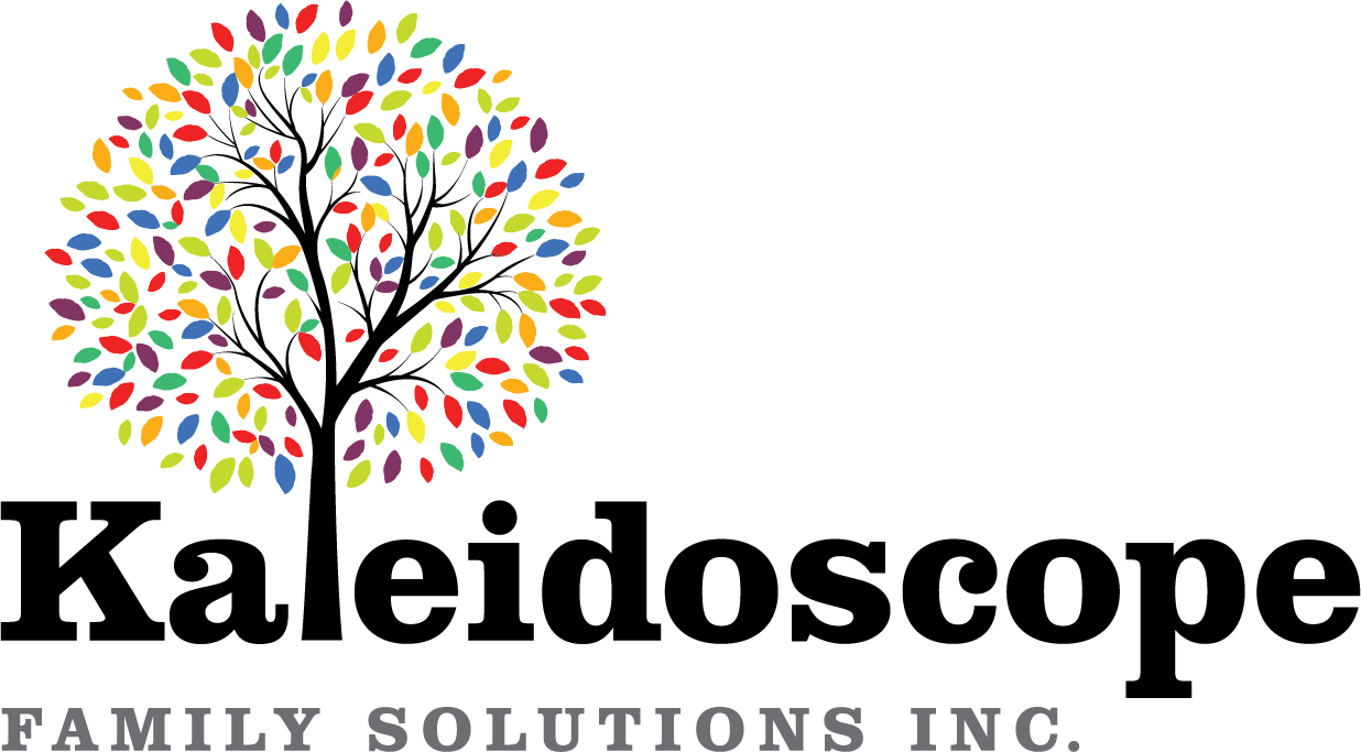Kaleidoscopr family solutions client logo | digital marketing services philadelphia | field1post.com